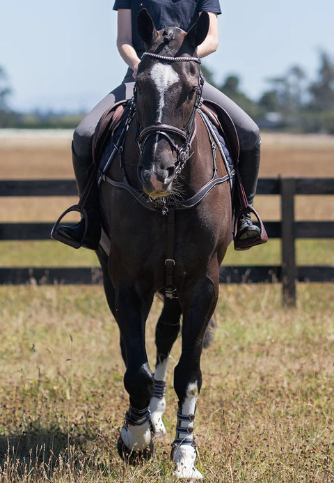 Ultimate Breastplate