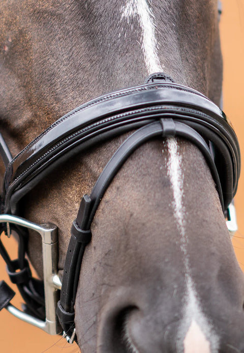 Ultimate Dressage Bridle Limited Edition