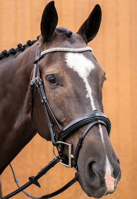 Ultimate Dressage Bridle Limited Edition