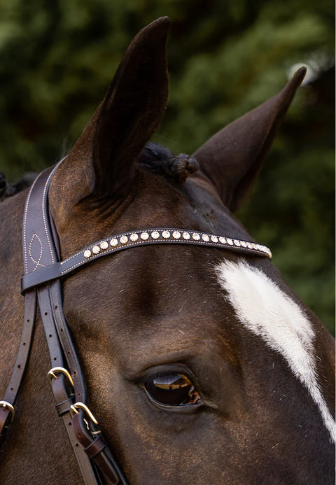 New Wave Browband