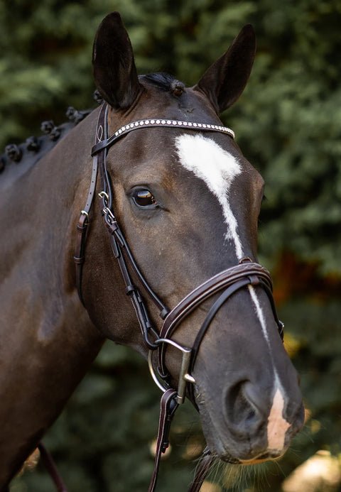 Athens Double Bridle in Black or Havana with Gold Crystal Brow Band and Gel Cavesson Noseband at Athens Double Bridle in Black or Havana with Gold Crystal Brow Band and Gel Cavesson Noseband at