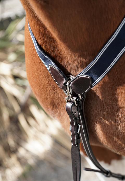 Y Not Hunting Breastplate