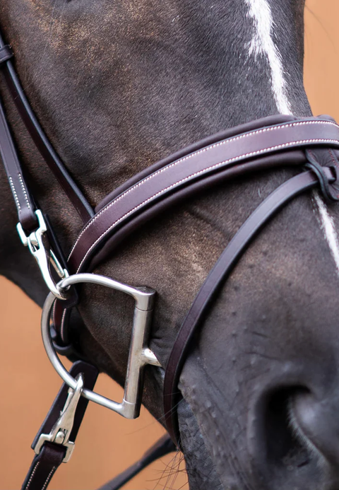 Your Hardest Worker Bridle - Sale - Black